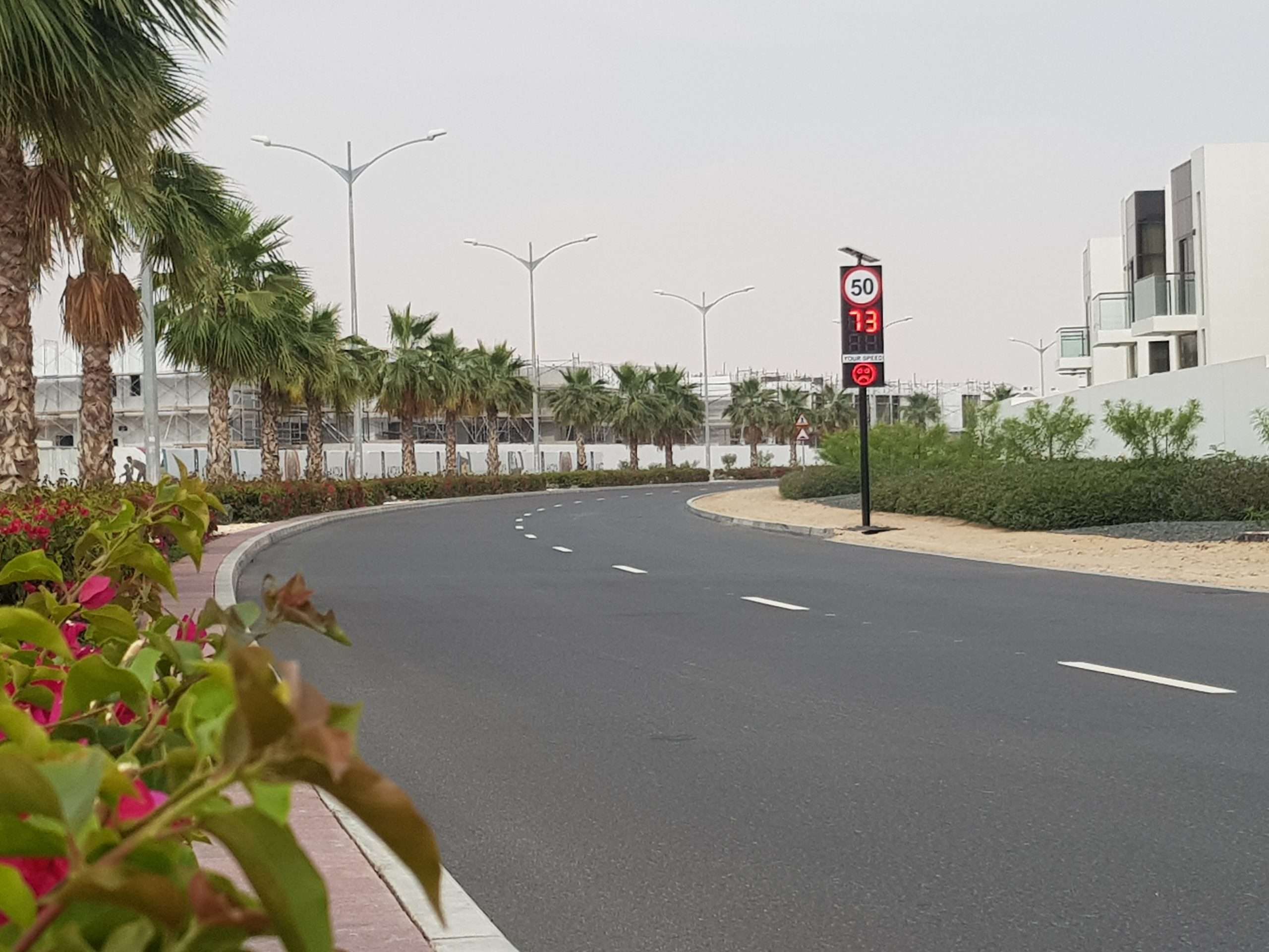 Your Speed Sign with Face & Speed Limit