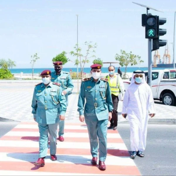 Wireless Pedestrian Signal With Push Button