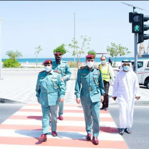 Solar Wireless Pedestrian Traffic Signal