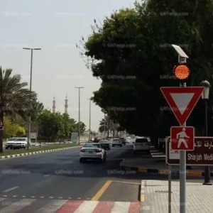 Solar Flashing Light Solar Flashing Light