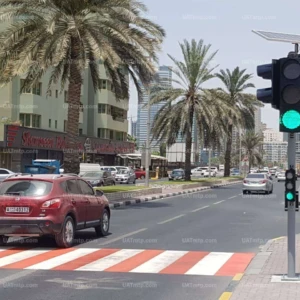 Solar Wireless Pedestrian Traffic Signal Solar Wireless Pedestrian Traffic Signal