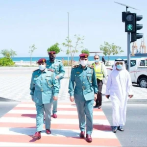 Solar Wireless Pedestrian Traffic Signal Solar Wireless Pedestrian Traffic Signal