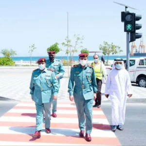 Solar Wireless Pedestrian Traffic Signal Solar Wireless Pedestrian Traffic Signal