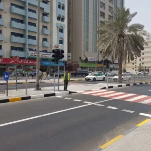 Solar Wireless Pedestrian Traffic Signal Solar Wireless Pedestrian Traffic Signal