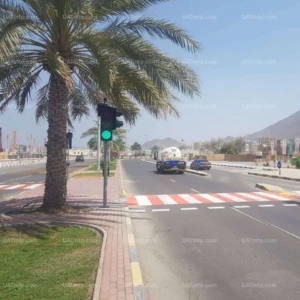 Solar Wireless Pedestrian Traffic Signal Solar Wireless Pedestrian Traffic Signal