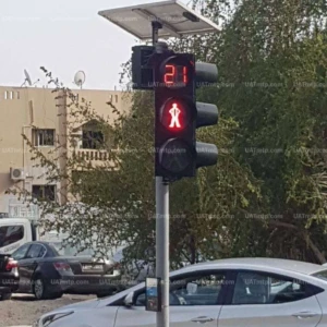 Solar Wireless Pedestrian Traffic Signal Solar Wireless Pedestrian Traffic Signal