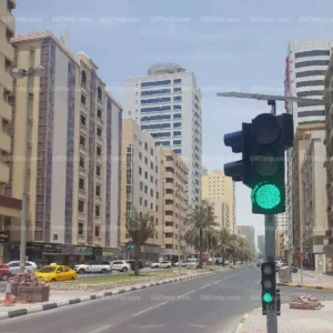 Solar Wireless Pedestrian Traffic Signal Solar Wireless Pedestrian Traffic Signal